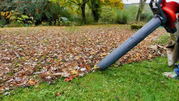Leaf Removal: Keeping Your Garden and Lawn Pristine