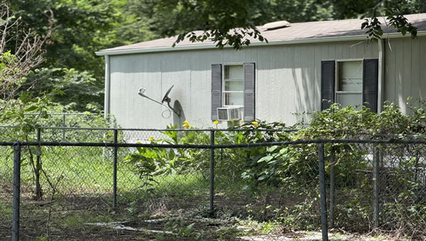 Revitalize Your Yard